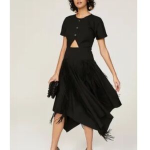 Bibhu Mohapatra Collective Cutout Fringe Dress - Damaged